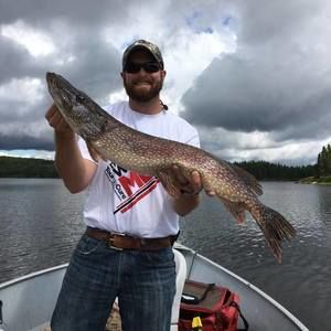 Meet your Posher, Dan